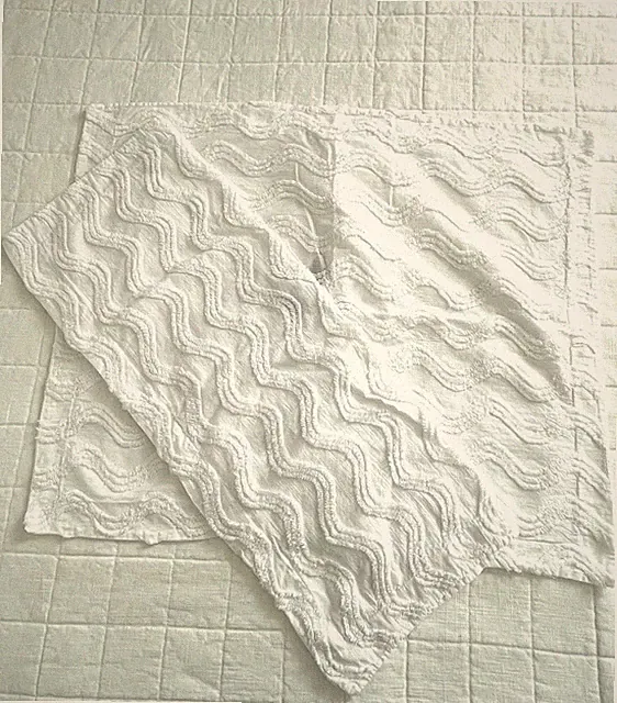 2 Rachael Roy White Cotton Chenille Pillow Shams Standard Size ￼